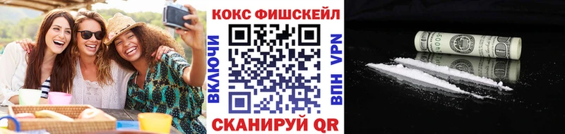 мега зеркало  наркотики  Байкальск  COCAIN Fish Scale 