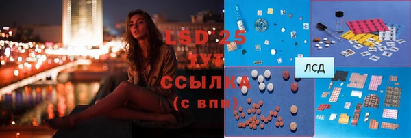 стаф Аркадак