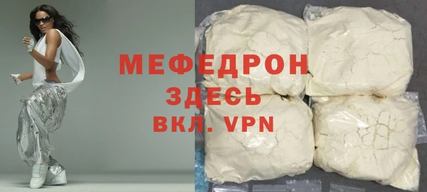 стаф Аркадак