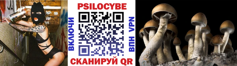 Галлюциногенные грибы MAGIC MUSHROOMS Байкальск